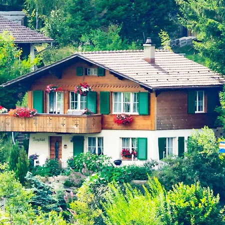 Baergchutzli Parterre Appartement-fewo- Dusche- Wc- 1 Schlafraum By Interhome Appartement *
